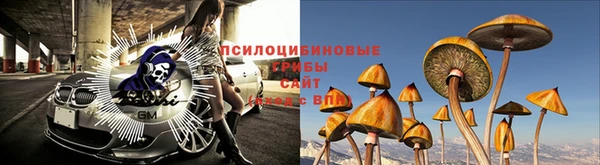 прущая мука Алзамай