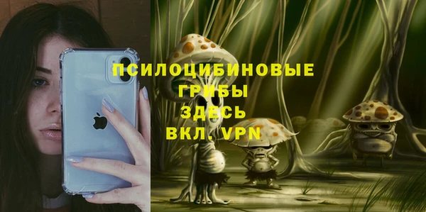 прущая мука Алзамай