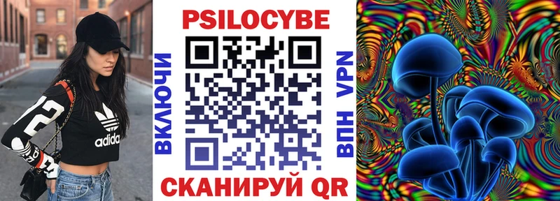 Псилоцибиновые грибы MAGIC MUSHROOMS  где найти наркотики  Бирюч 